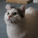 Emmy