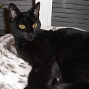 Lena