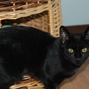 Lena