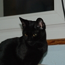 Lena