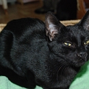 Lena