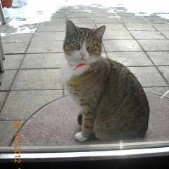 Dreamy jetzt Luna lebt sich langsam ein!
