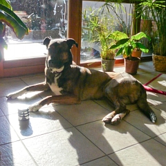 Luke ist einach Zucker!