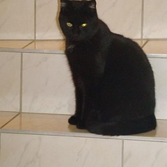 Jade hat es geschafft!