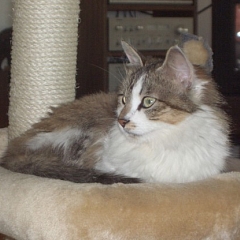 Dunja, ehemals Savannah, Prinzessin auf der Erbse