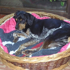 Scott und Oscar2