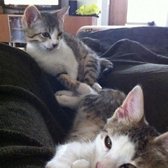 Sid & Peaches ehemals Cem & Lena :-)