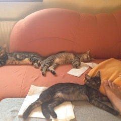 Erste Bilder von Rocco, Lilly und Camina!