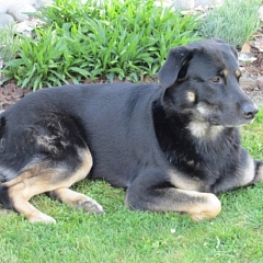 Fritz (Magic) entdeckt die Welt
