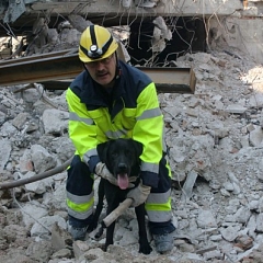 Dario wird als Rettungshund ausgebildet