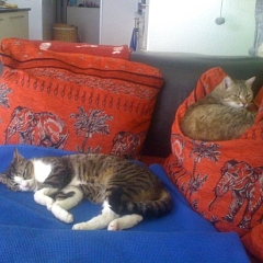 Impressionen von Pako & Fee