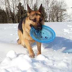 Turbo ist Zuhause;-)