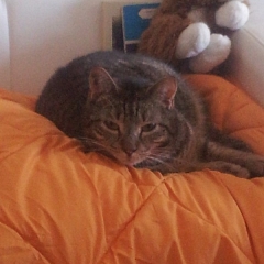 News von Lizzy & Future :-)