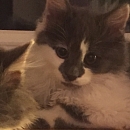 Stups (& Schnups)
