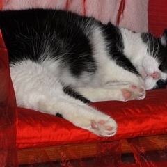 Mia im Wunderland