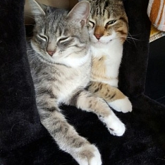 Lye und Yuma sind unzertrennlich