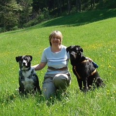 Black (Jorno) - Traumhund bei Traummenschen