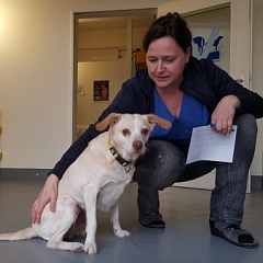 Fifi gelassen und zufrieden