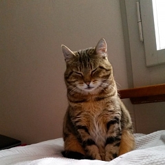 Emelie im Glück
