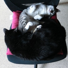 Grüsse von Nando und Nora (Naima)