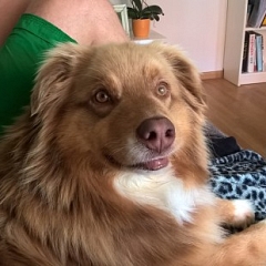 Gaia ist munter und fröhlich und wir haben viel Freude mit dem Kuschelbär ;)