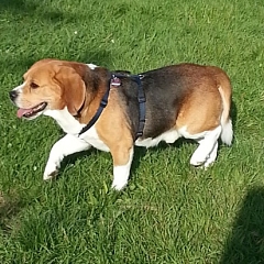 Eddy, ein wirklich toller Kerl