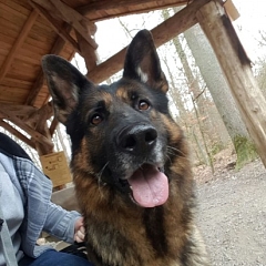 Derrek ist super anhänglich