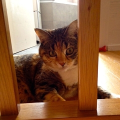 Melodie hat heut Geburtstag