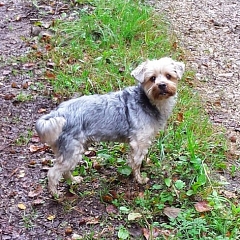 Neuigkeiten von Benji‏ (eh. Ricco)