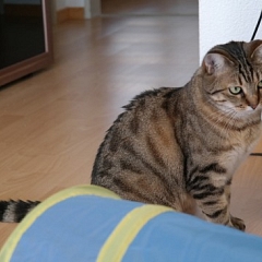 Masha geht es prächtig