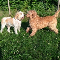 Marquise trifft Oscar