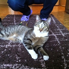 Besuch bei Linus der jetzt Freddy heisst