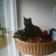 Marek & Yukon glücklich ...