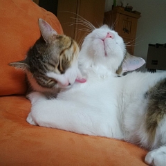 Gwenda & Luigi ein Traumpaar