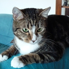 Post von Oskar - ehemals Toshi
