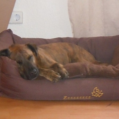 Loki der coole Typ