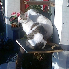Monty geht es blendend