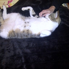Rosali ist happy