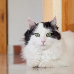 Naomi - wunderschöne Bilder aus ihrem neuen Zuhause!