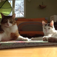 Luigi und Gwenda im Sonnenschein