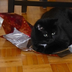 Charlie und Chaplin packen Geschenke aus