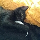 Emmi (& Peppino)