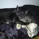 Emmi (& Peppino)