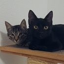 Peppino (& Emmi)