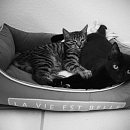 Peppino (& Emmi)