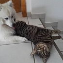 Peppino (& Emmi)