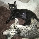 Peppino (& Emmi)