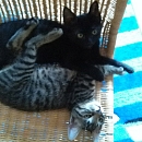 Peppino (& Emmi)