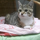 Yuma (& Lye)