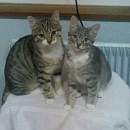 Yuma (& Lye)
